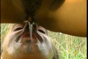 beurette pisseuse